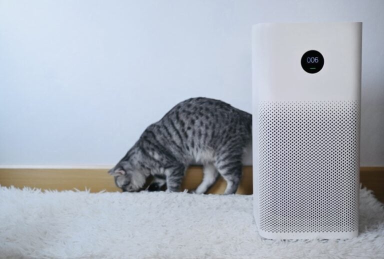 White air purifier in lounge room next to cat on a fluffy white rug. Click on picture link to purchase online.