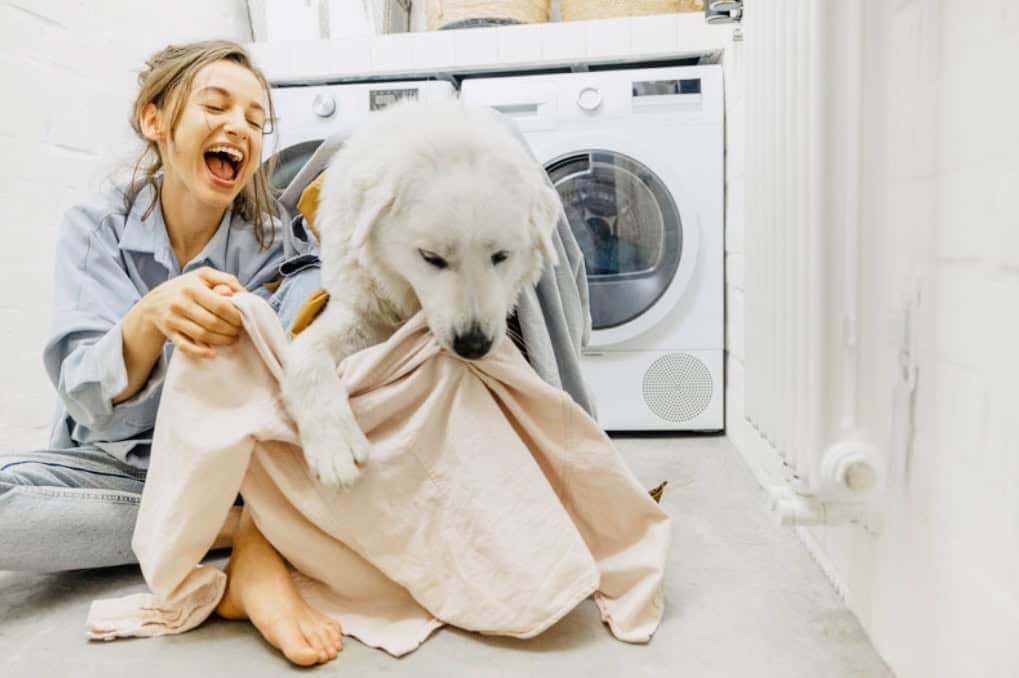 Lady doing washing with white dog. Click on picture link to purchase laundry basket online.