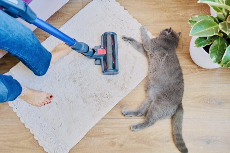 🏆 Best Pet Cleaning Products (2026 Guide)