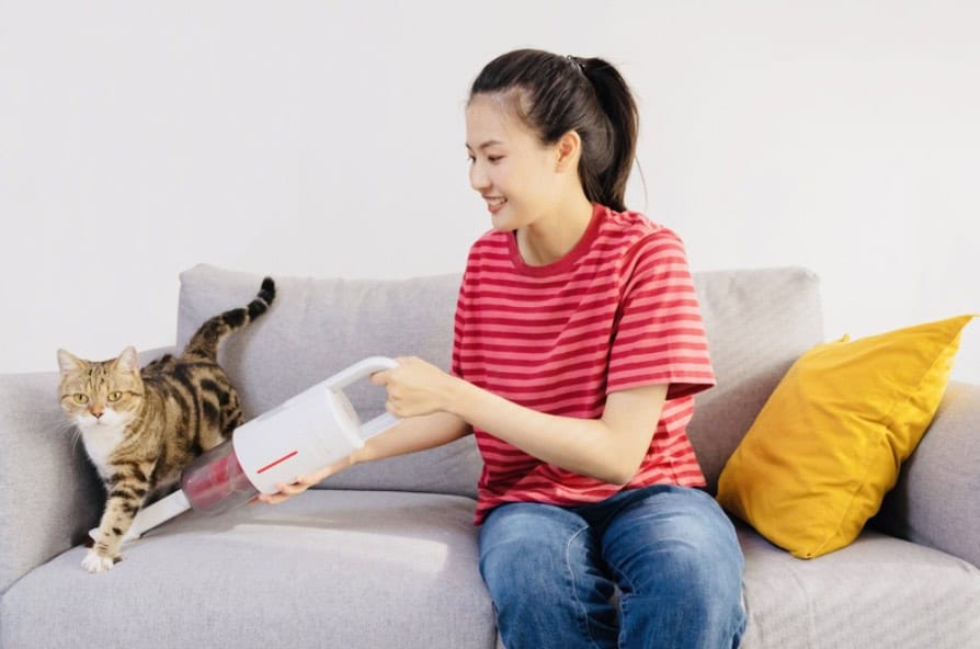 taby cat sitting on beige couch. click on link to see my guide for cat hair removers on furniture.